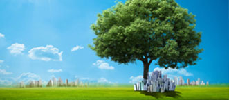 P020150210350045976528 P020150210350045976528